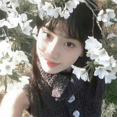 十三个原因第二季